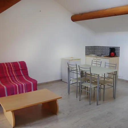 Konukevi Mas Le Petit Nizon